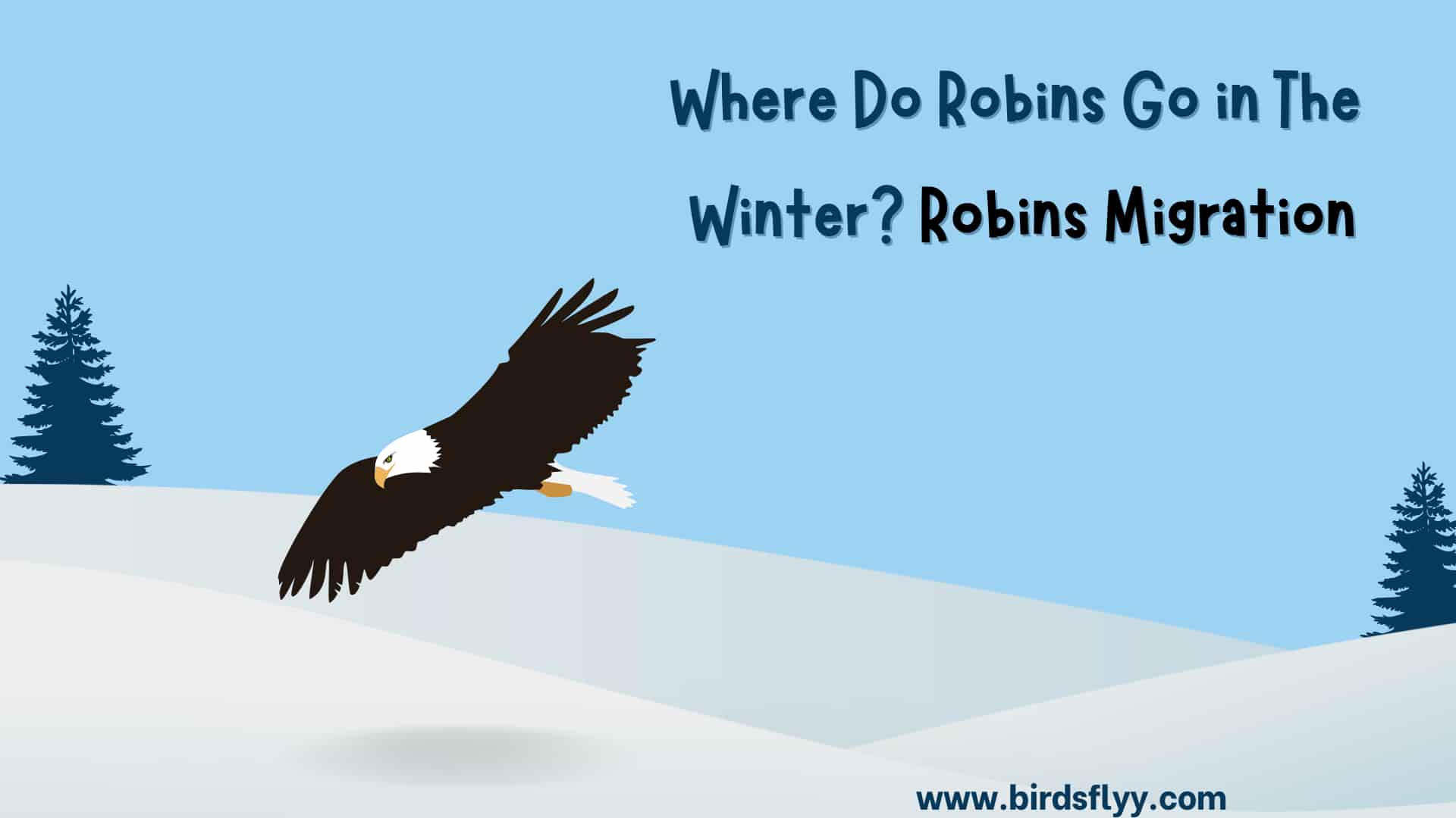 Robins Migration